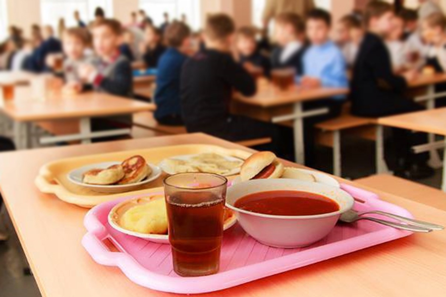 Организация горячего питания в образовательных учебных заведениях.