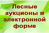 Информация  о проведении аукционов в электронном виде на право заключения договора аренды лесного участка, находящегося в государственной собственности.